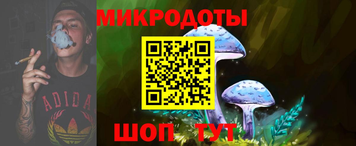 Галлюциногенные грибы Psilocybe  Вход с VPN  Владимир  Галлюциногенные грибы прущие грибы 
