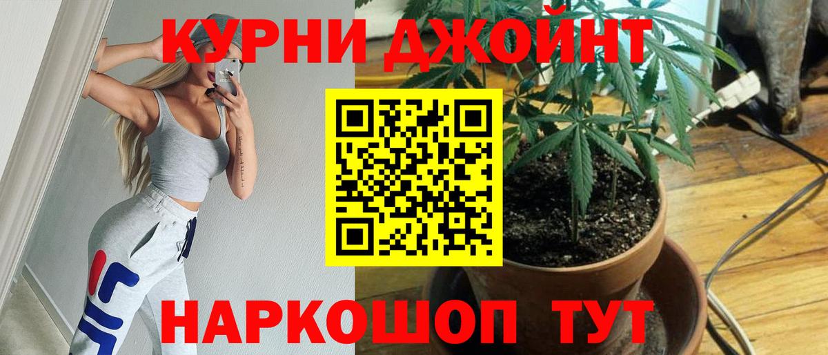 Бошки Шишки гибрид  Вход с VPN  Владимир  Каннабис AK-47  Каннабис конопля 